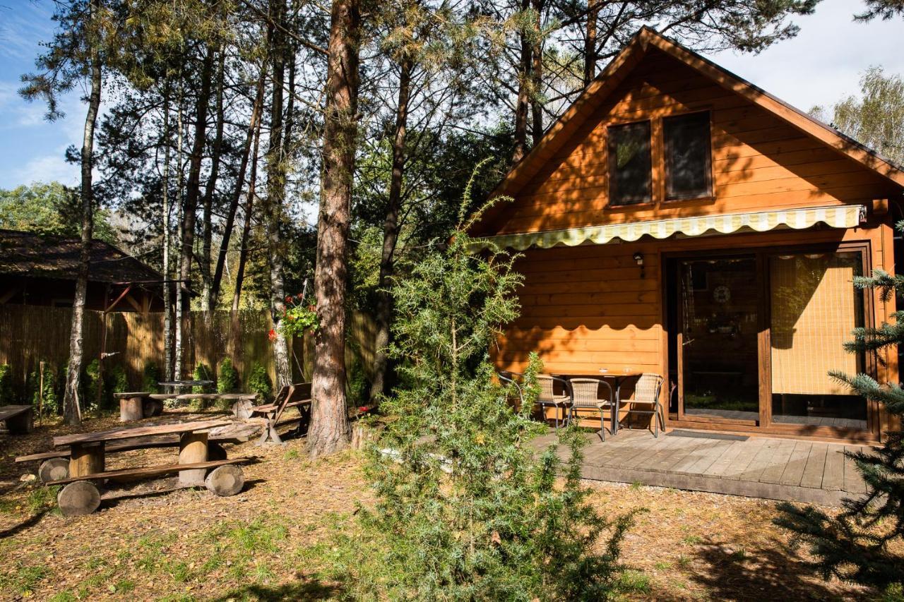 Domek Pod Klonem Жари Екстер'єр фото